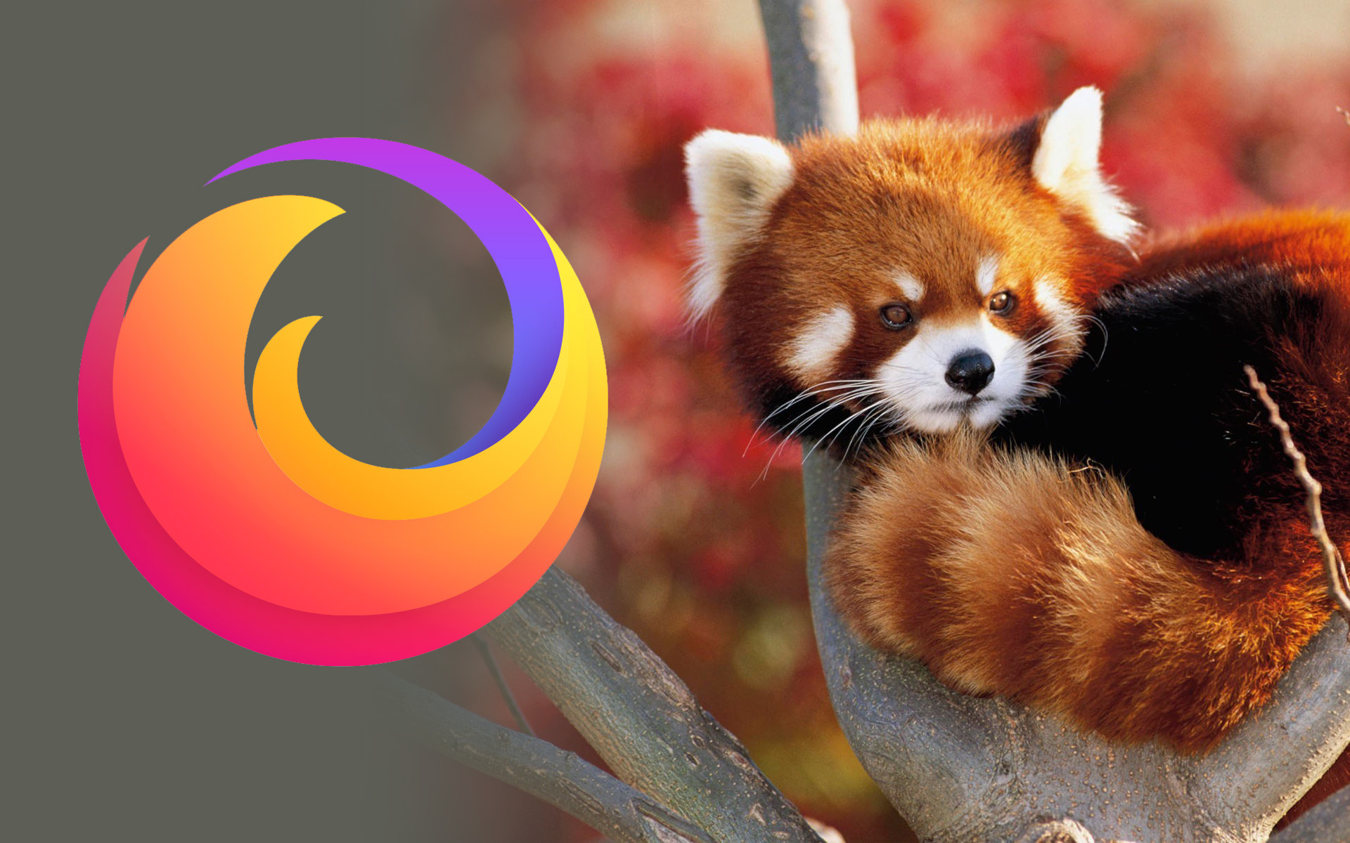 firefox logo