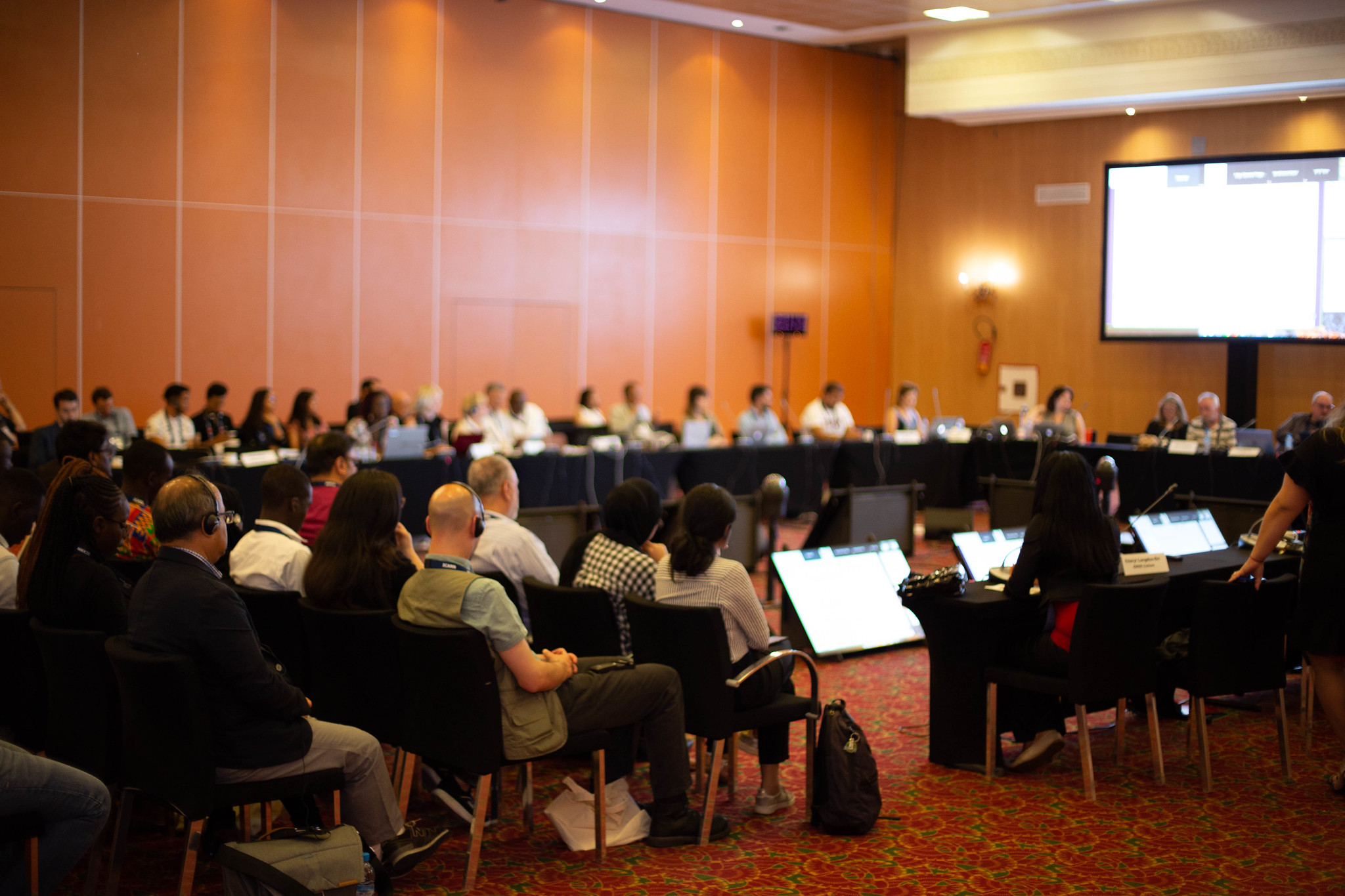 icann65 sessione