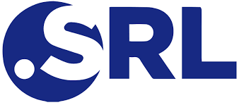 logo dominio srl